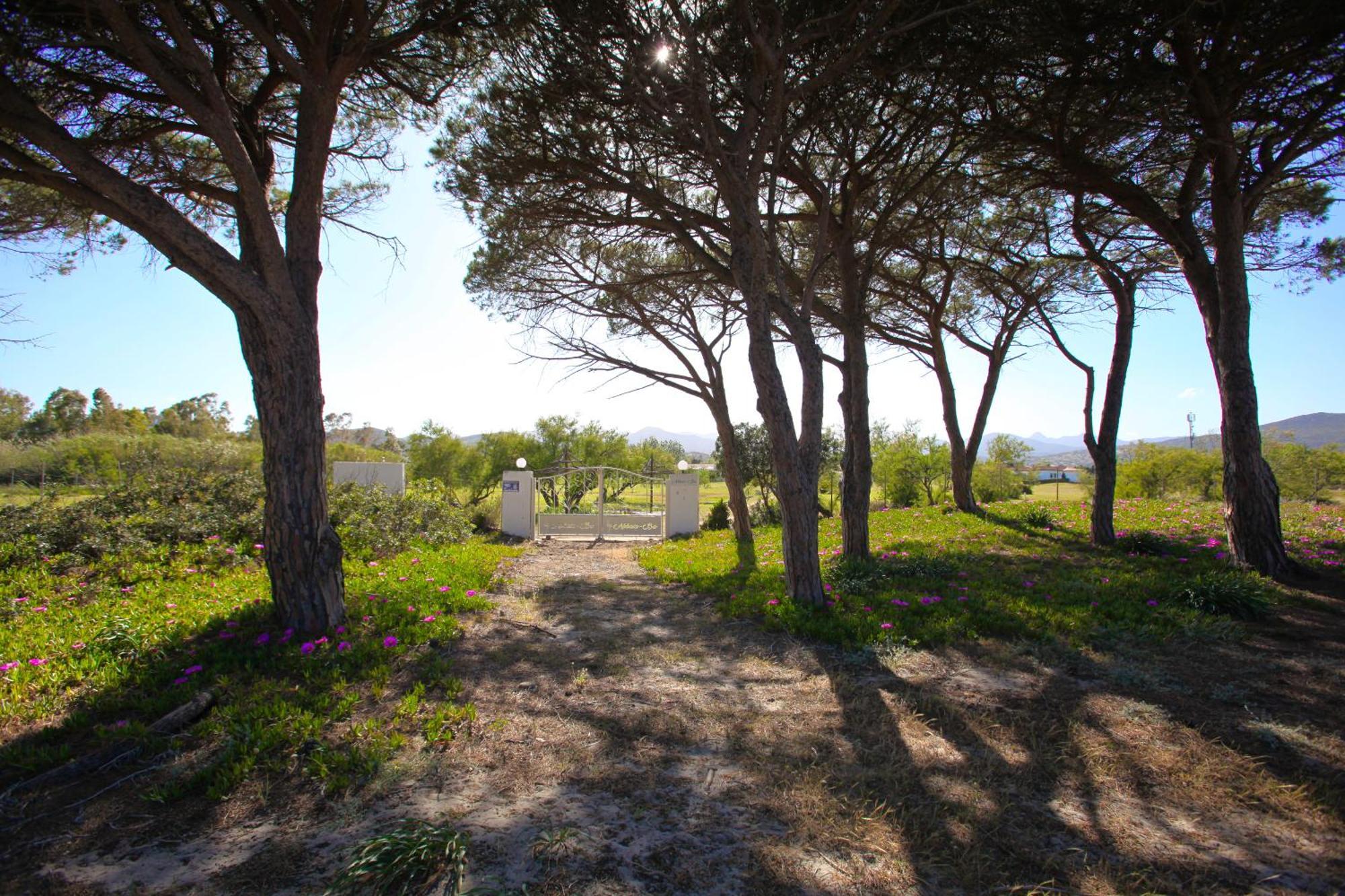 Resort Abbaia Ba Budoni Exterior photo