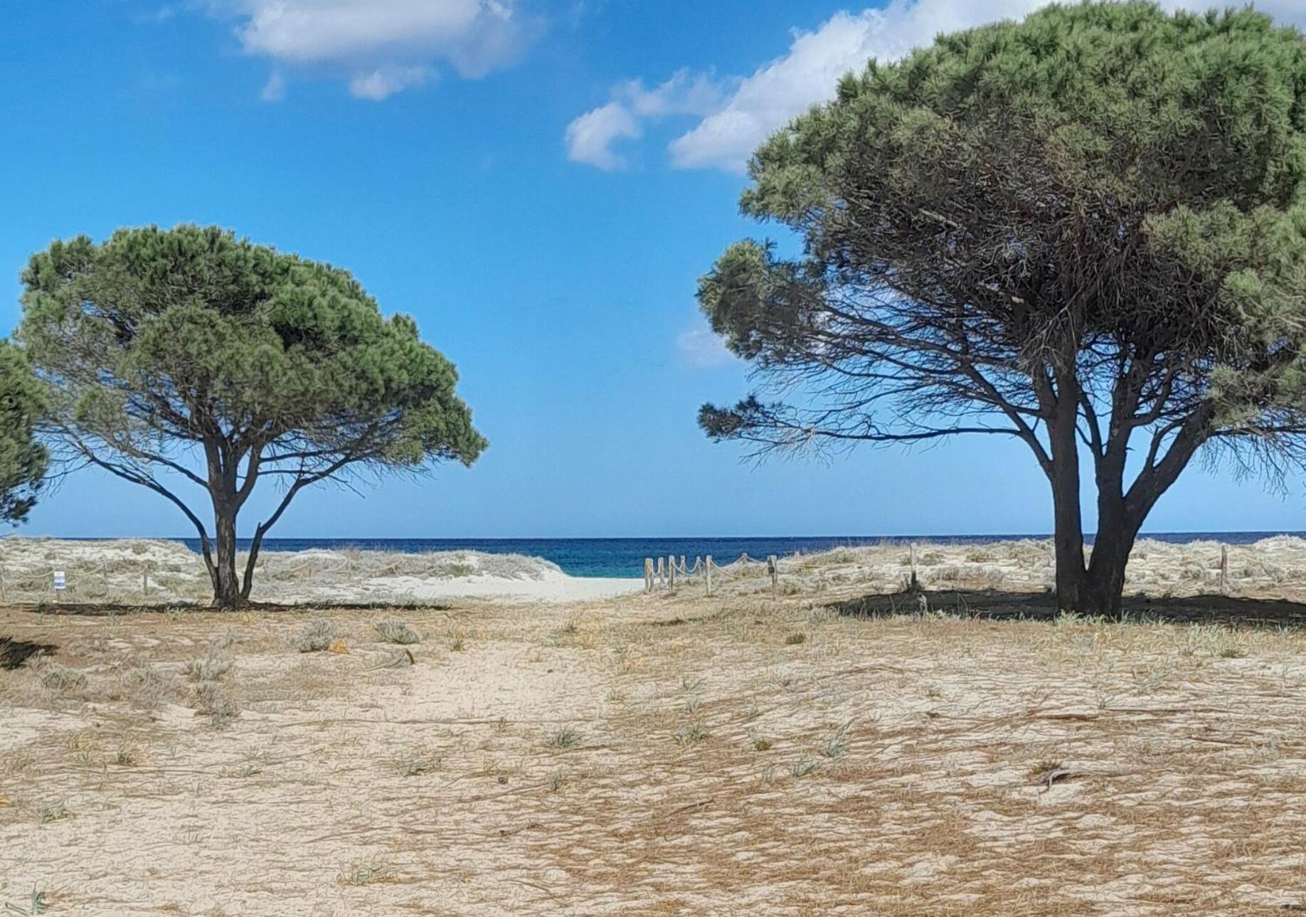 Resort Abbaia Ba Budoni Exterior photo